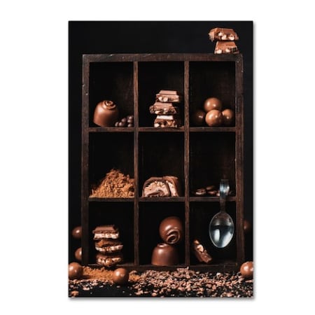 Dina Belenko 'Chocolate Collection' Canvas Art,22x32